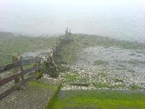 Wattenmeer