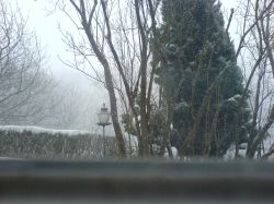 Vorher