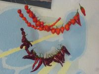 Chilis auf der Trockenleine