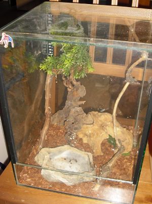 Terrarium